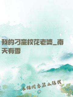 我的刁蛮校花老婆