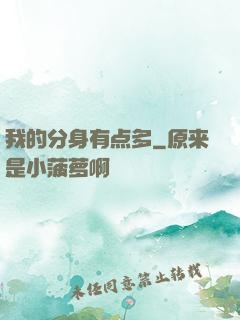 我的分身有点多