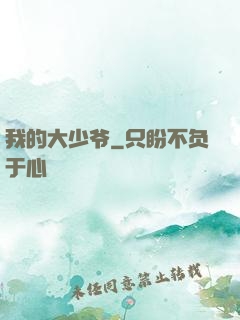 我的大少爷