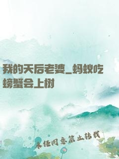 我的天后老婆