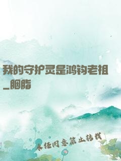 我的守护灵是鸿钧老祖