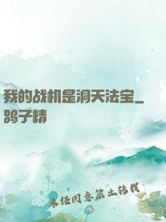 我的战机是洞天法宝