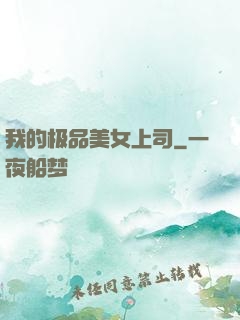我的极品美女上司