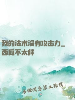我的法术没有攻击力
