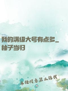 我的满级大号有点多
