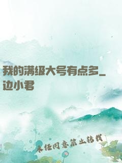 我的满级大号有点多