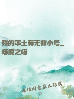 我的率土有无数小号