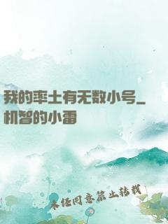 我的率土有无数小号