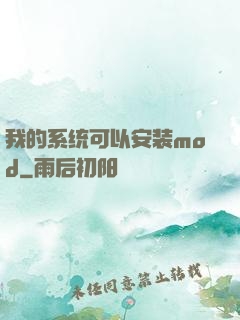我的系统可以安装mod