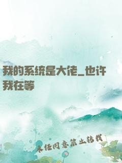 我的系统是大佬