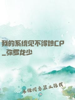 我的系统见不得炒CP