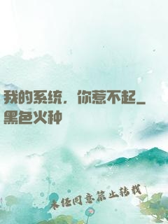 我的系统，你惹不起