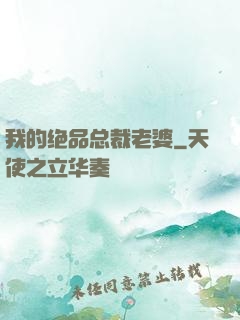 我的绝品总裁老婆