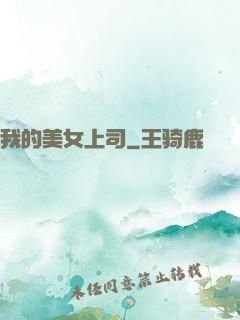 我的美女上司