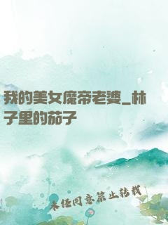 我的美女魔帝老婆