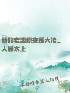 我的老婆原来是大佬