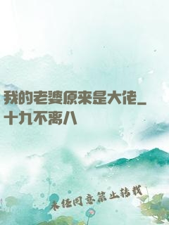 我的老婆原来是大佬