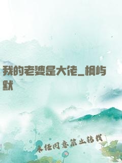 我的老婆是大佬