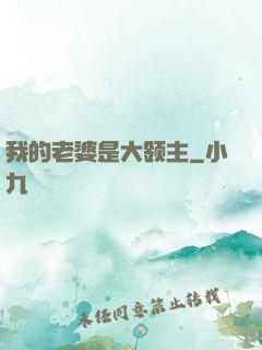 我的老婆是大领主