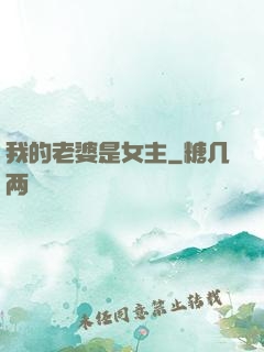 我的老婆是女主
