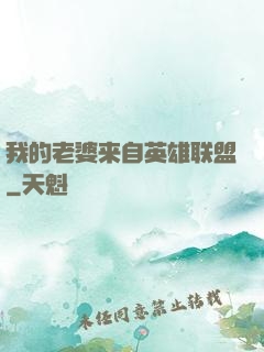 我的老婆来自英雄联盟