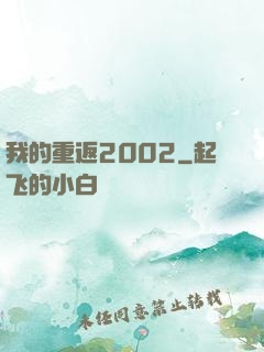 我的重返2002