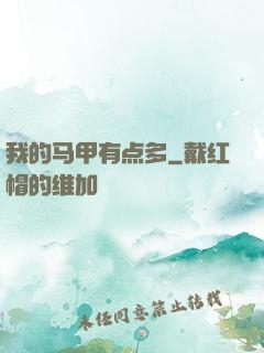 我的马甲有点多