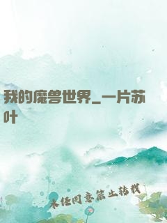 我的魔兽世界