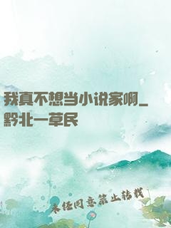 我真不想当小说家啊