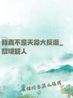 我真不是天命大反派