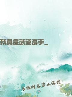 我真是武道高手