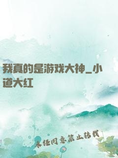我真的是游戏大神