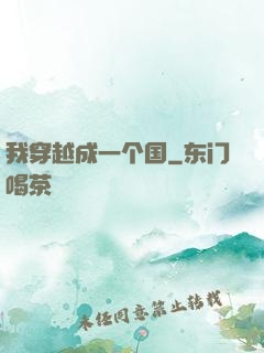 我穿越成一个国