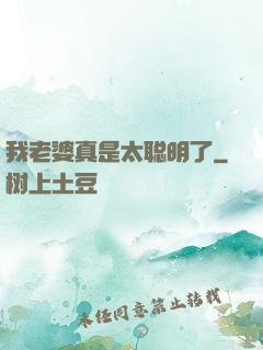 我老婆真是太聪明了