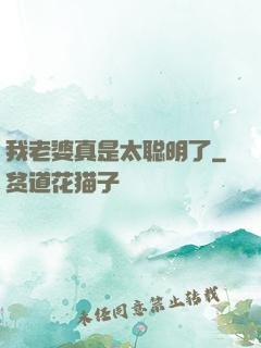 我老婆真是太聪明了
