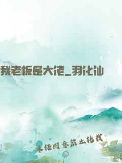 我老板是大佬
