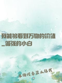 我能够看到万物的价值
