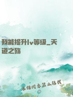 我能提升lv等级