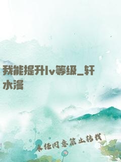 我能提升lv等级