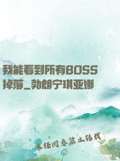 我能看到所有BOSS掉落
