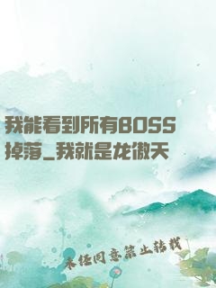 我能看到所有BOSS掉落