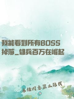 我能看到所有BOSS掉落