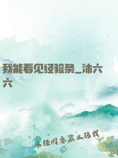 我能看见经验条