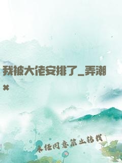 我被大佬安排了