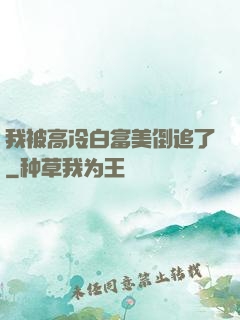 我被高冷白富美倒追了