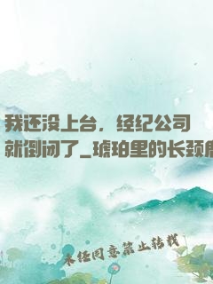 我还没上台，经纪公司就倒闭了