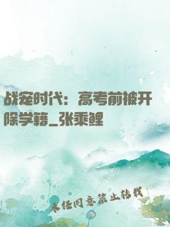 战宠时代：高考前被开除学籍