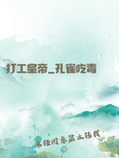 打工皇帝
