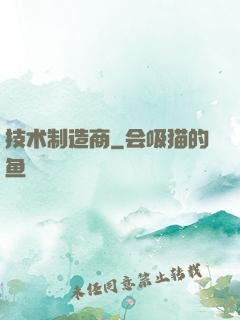 技术制造商
