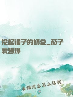 抡起锤子的奶爸